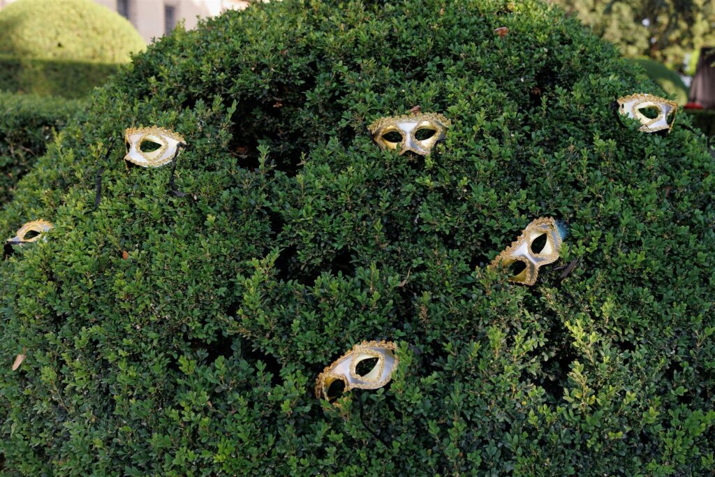 An Unforgettable Anniversary at Castello del Nero: A Three-Day Celebration in Tuscany 23 Gold Venetian masks scattered on a lush green hedg. Anniversary Castello del Nero - Italian Wedding Designer